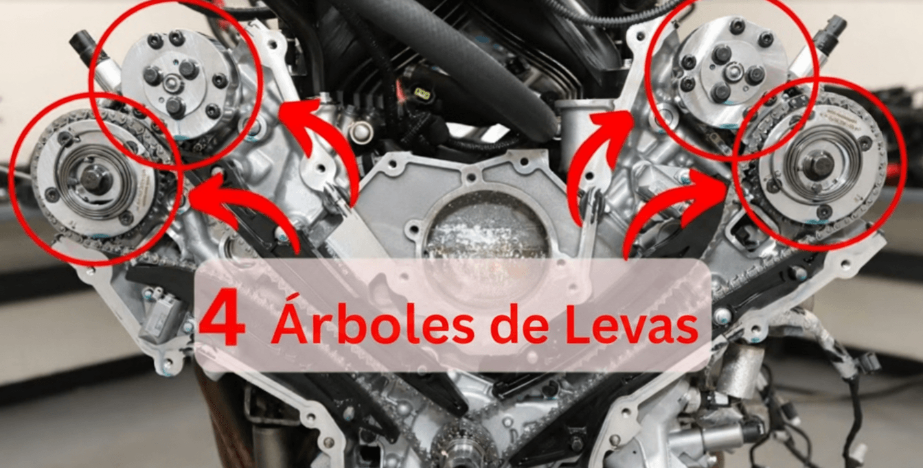 Gen4 Distribución Esp