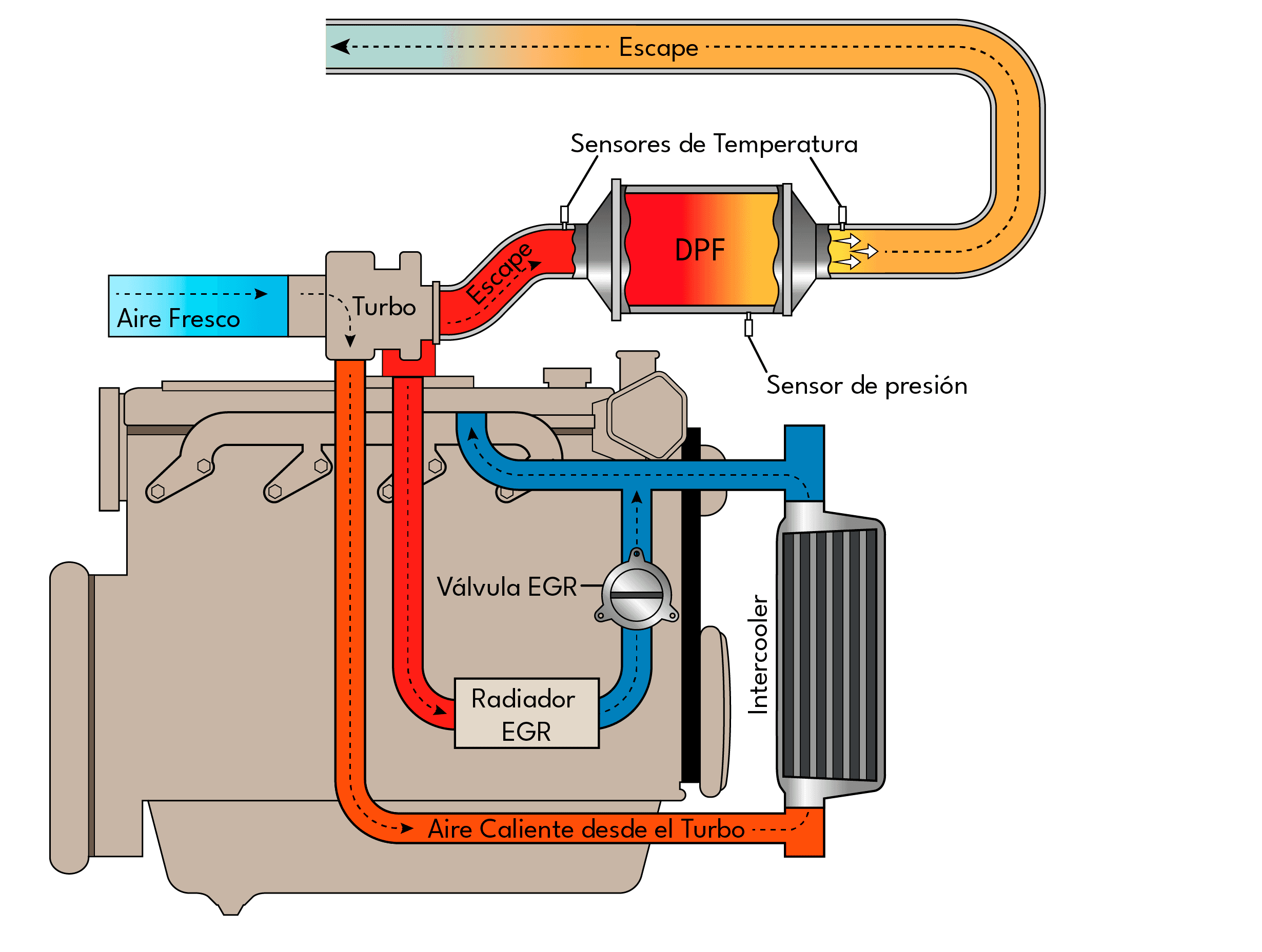 Egr Fap Diesel