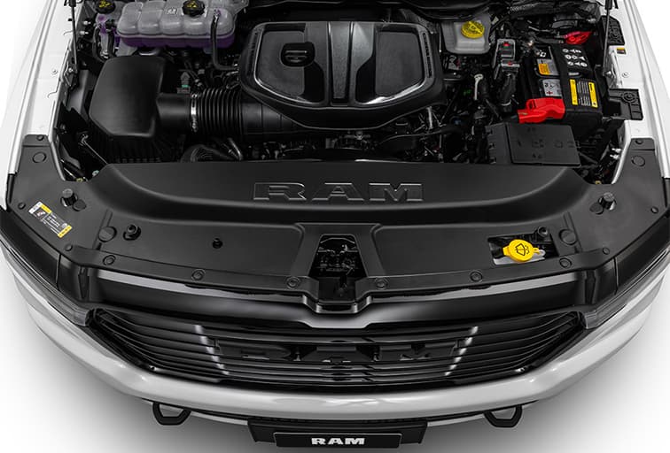 Camionetas nafteras - Argentina 2025